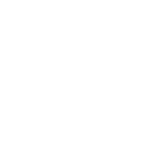 headerlogo_lilleto-300