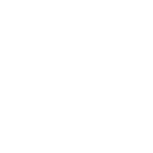 logoheader_BLUSH-300